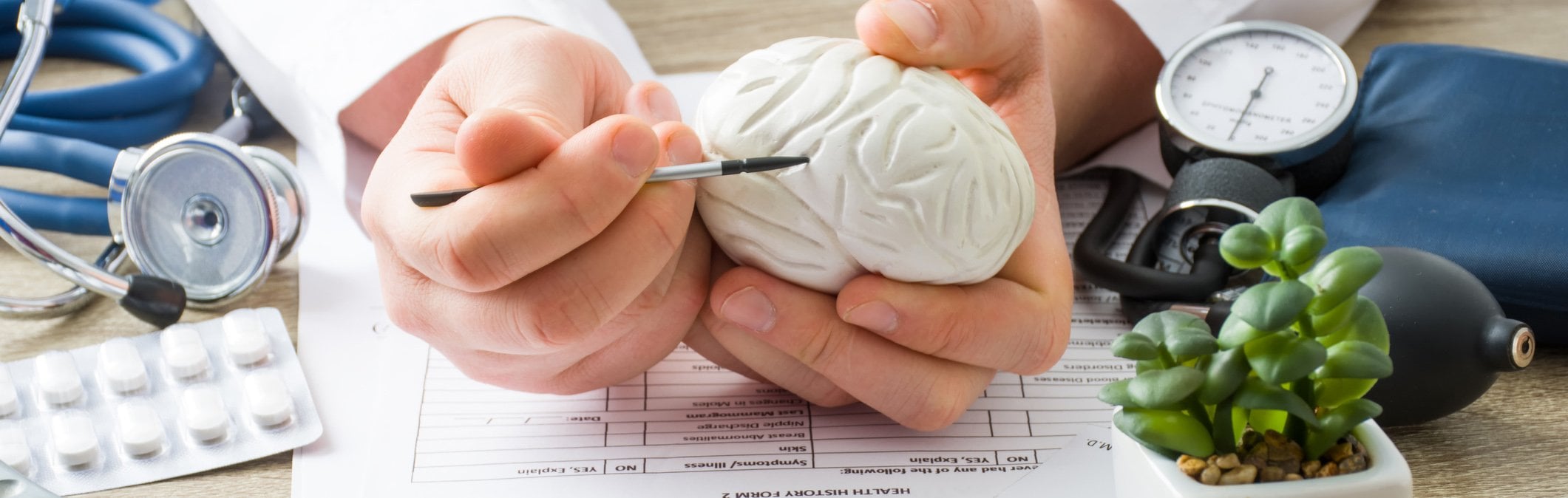 doctor pointing to area on model of brain 